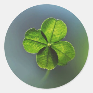 Adesivo Lucky Green - Quatro Folhas