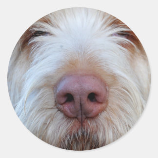 Adesivo Luigi's Booper Sticker