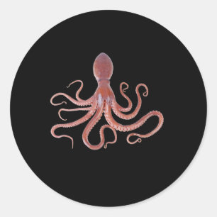 Adesivo Lula Gigante Do Oceano Para Amantes de os animais