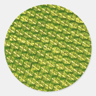 Adesivo Luminosidade!