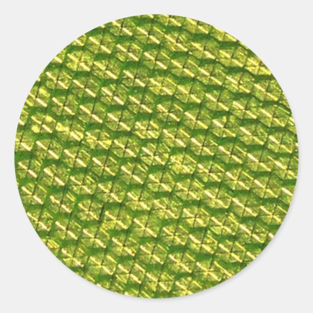 Adesivo Luminosidade! (Frente)