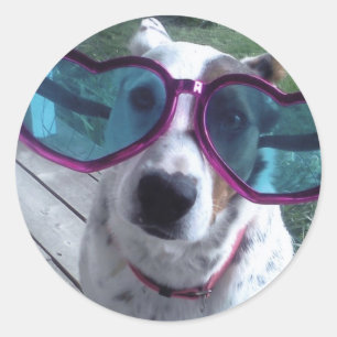 Adesivo Luna diz "o dia mau do cabelo? Obtenha uns vidros