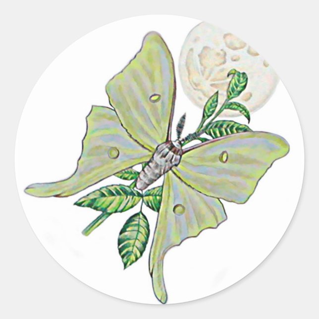 Adesivo Luna Moth (Frente)