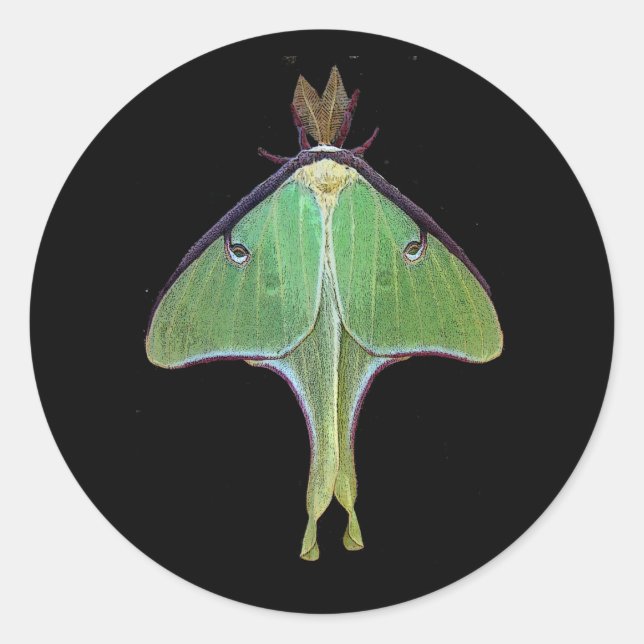 Adesivo Luna Moth (Frente)