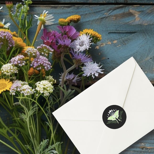 Adesivo Luna Moth Moon Phases (Criador carregado)