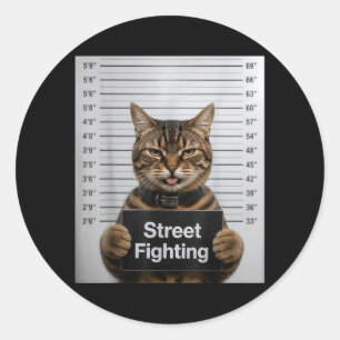 Adesivo Luta de Rua Gato Engraçado Humor Para Gatinho Pet