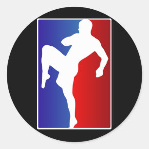 Adesivo Lutador do karaté do Muttahida Majlis-E-Amal