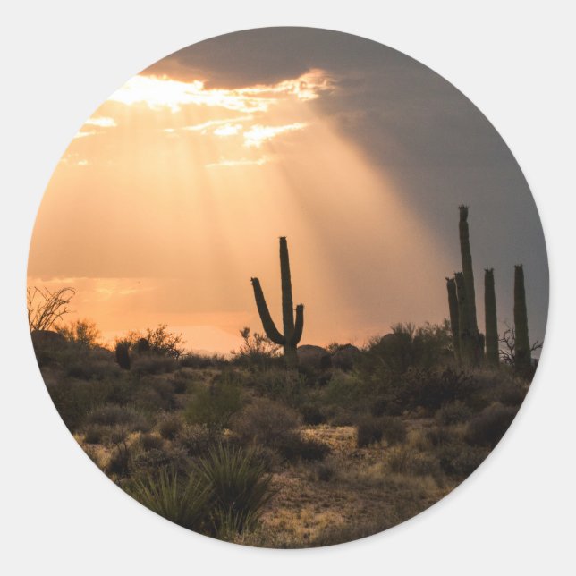 Adesivo Luz no Deserto (Frente)