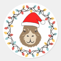 Luzes de Natal de Capivara Fofas e Divertidas