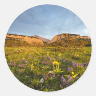 Adesivo Luzes do Nascer do Sol Blackleaf Canyon