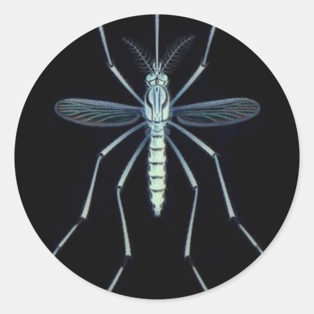 ADESIVO M ENERGIA, (Frente)