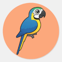 Maca azul e amarela