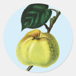 Adesivo maçã verde sobre uma ilustração botânica da fruta 