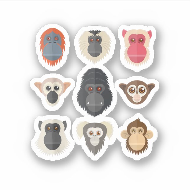 Adesivo Macaco Chimpanzé Gorila Macaco-aranha Esquilo M (Frente)