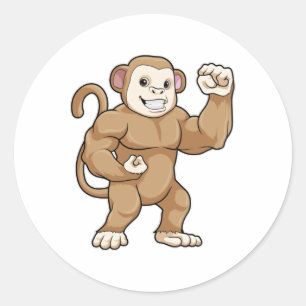 Adesivo Macaco como Criador de Portos em Bodybuilding