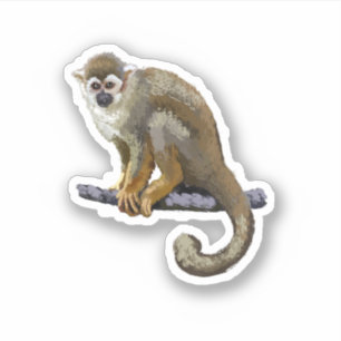 Adesivo Macaco-de-cheiro