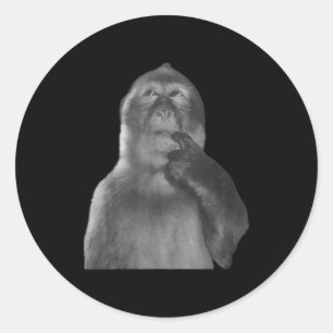 Adesivo Macaco Pensativo Engraçado Meme Macaco Curioso Rot