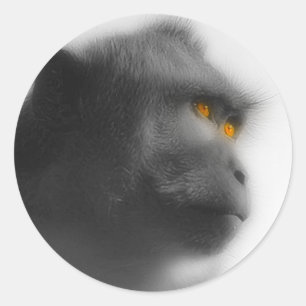 Adesivo Macaco Penso