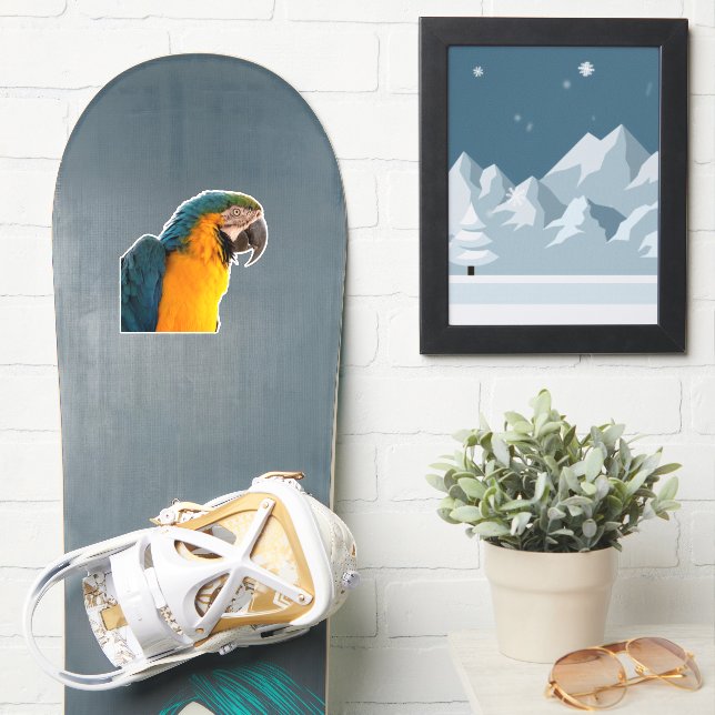 Adesivo Macaw Azul (Prancha de snowboard)