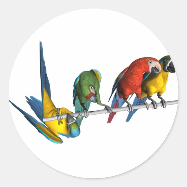Adesivo Macaw Parrot (Frente)
