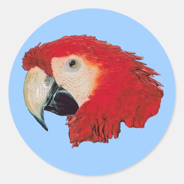 Adesivo Macaw Parrot Bird Stickers (Frente)