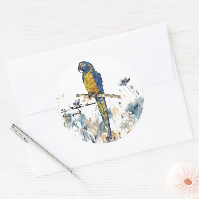 Adesivo Macaw Pintado Com Mão Ameaçado (Envelope)