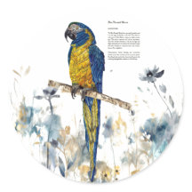 Macaw Pintado Com Mão Ameaçado
