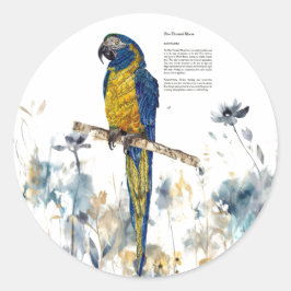 Adesivo Macaw Pintado Com Mão Ameaçado