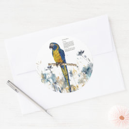 Adesivo Macaw Pintado Com Mão Ameaçado
