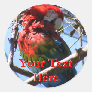 Adesivo Macaw Stickers