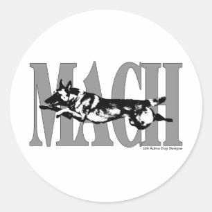 Adesivo MACH Mal