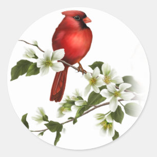 Adesivo Macho Cardinal Dogwood Blossoms Branker