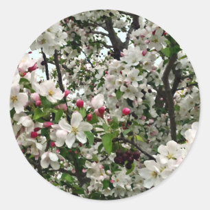 Adesivo Macieira em Flor