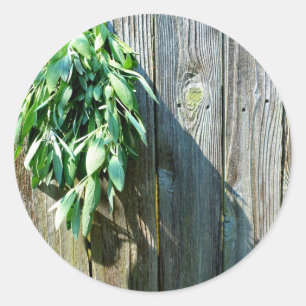 Adesivo Madeira de galinha