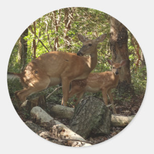 Adesivo Madre e bebê veados no Parque Nacional de Shenand