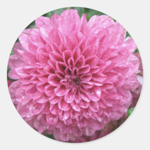 Adesivo Mãe cor-de-rosa