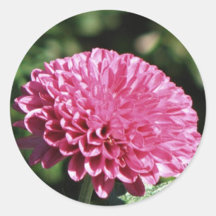Adesivo Mãe cor-de-rosa