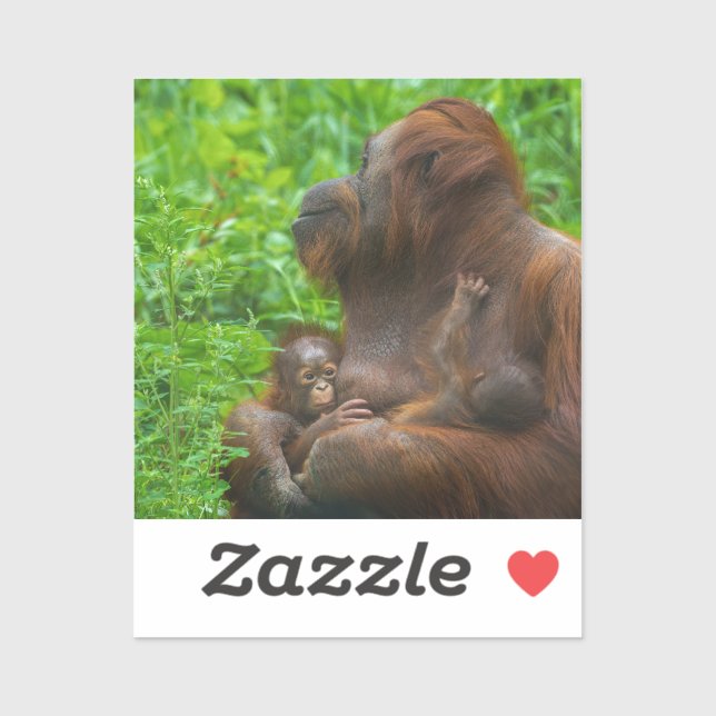 Adesivo Mãe e Bebês Orangutan (Folha)