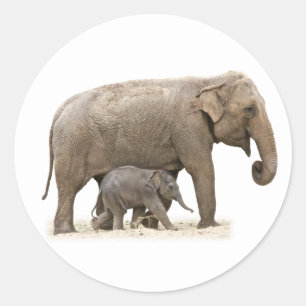 Adesivo Mãe e Elefante de Bebê