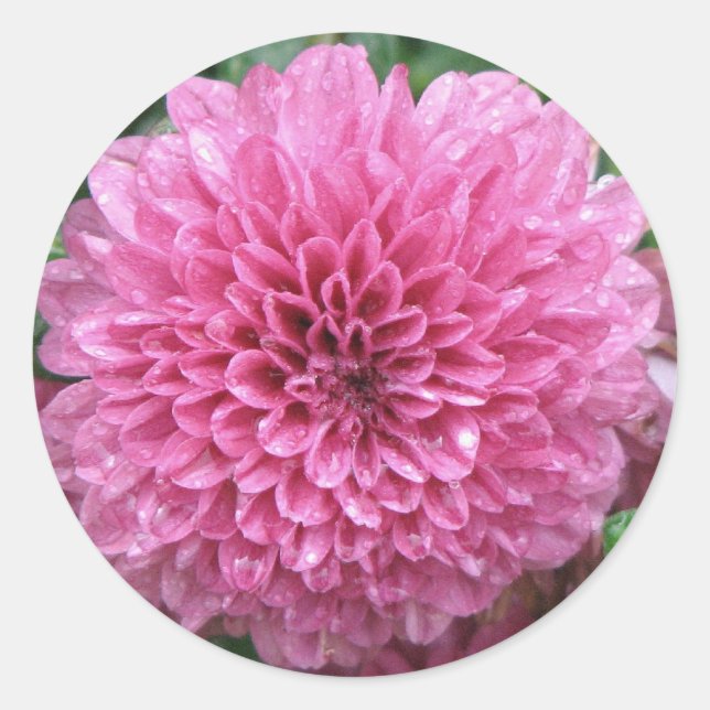 Adesivo Mãe rosa (Frente)