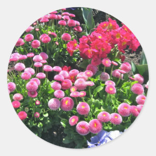 Adesivo Mães de Jardim Rosa