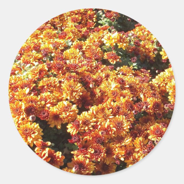 Adesivo Mães de outono (Frente)