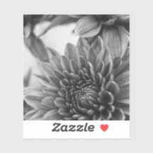 Mães preto e branco