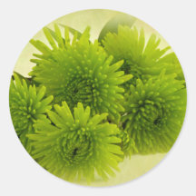 Mães verdes