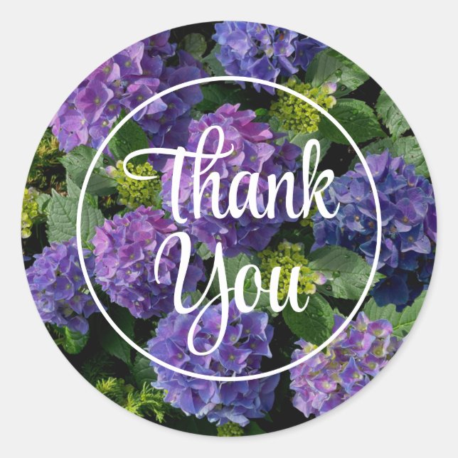 Adesivo Magenta verde-esverdeado-roxa-esverdeado-esverdead (Frente)