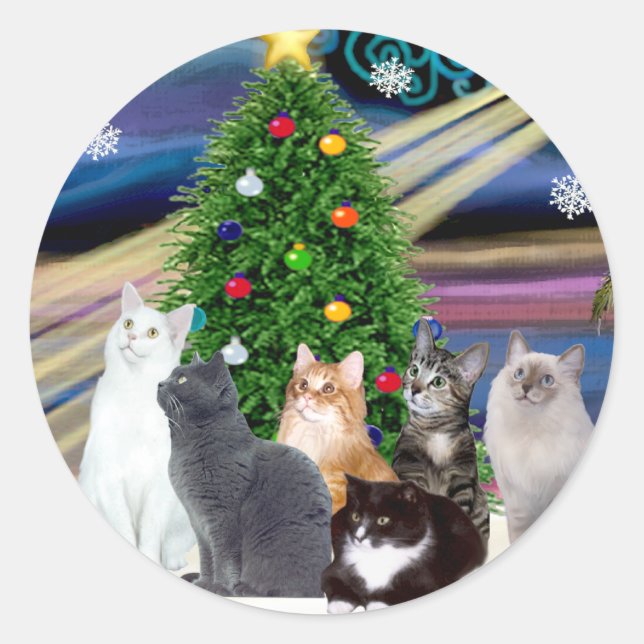 Adesivo Magia de Natal - Seis gatos (variedade) (Frente)
