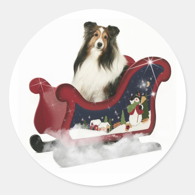 Adesivo Magic Sleigh Sheltie (Frente)