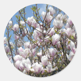 Adesivo Magnolia Blooms Em Primavera