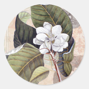 Adesivo Magnólia Branca Flor Vintage Botânica
