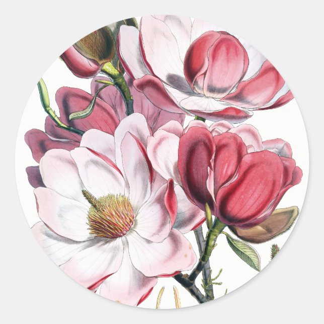 Adesivo Magnolia Flowers Stickers (Frente)